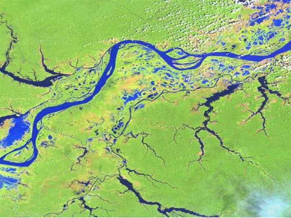Бассейн реки Амазонка. Дельта реки Амазонка. Бассейн реки амазонки фото. Устье реки амазонки из космоса.