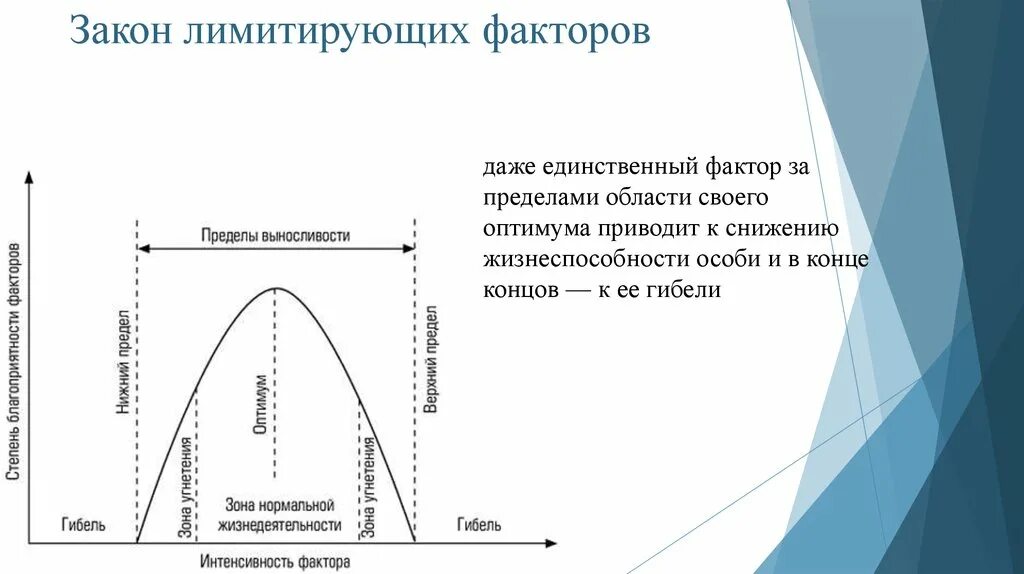 Лимитирующий фактор жизни растений в нечерноземной зоне. Закон лимитирующего фактора в экологии. Экологические факторы ограничивающий фактор. Закон ограничивающего фактора схема. Закон оптимума и лимитирующего фактора.