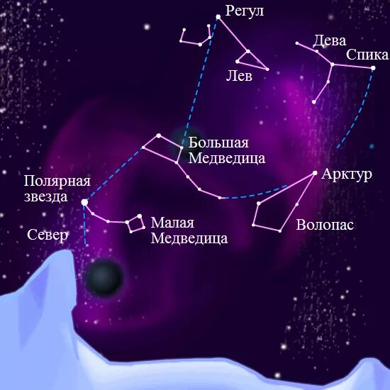 Созвездие малой медведицы какие звезды. Созвездие большая Медведица звезды расположение. Большая Медведица и Волопас. Полярная звезда в созвездии малой медведицы. Созвездие Девы относительно большой медведицы.