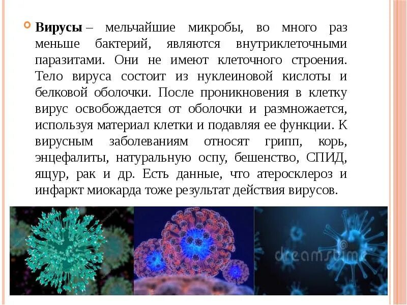 Возбудитель респираторного хламидиоза. Заболевания, вызываемые вирусами, бактериями, простейшими. Отличие вирусов от бактерий таблица. Возбудительные инфекцыонныхзаболеваний. Вирус является бактерией.