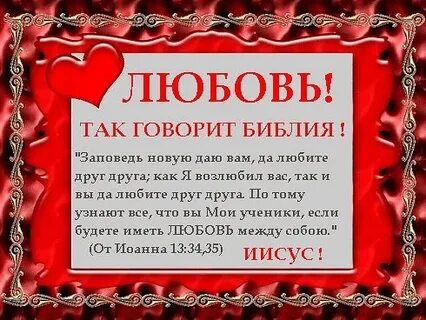 Клятва в любви и верности