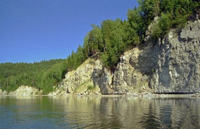 Кедры на сылве пермь