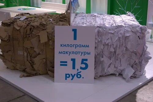 сколько стоит макулатура. 100 кг макулатуры спасает 1 дерево. сколько 1 кг макулатуры. 3 кг макулатуры. сколько 1 кг макулатуры.
