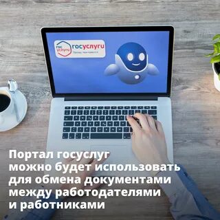 Работодатель работник госуслуги
