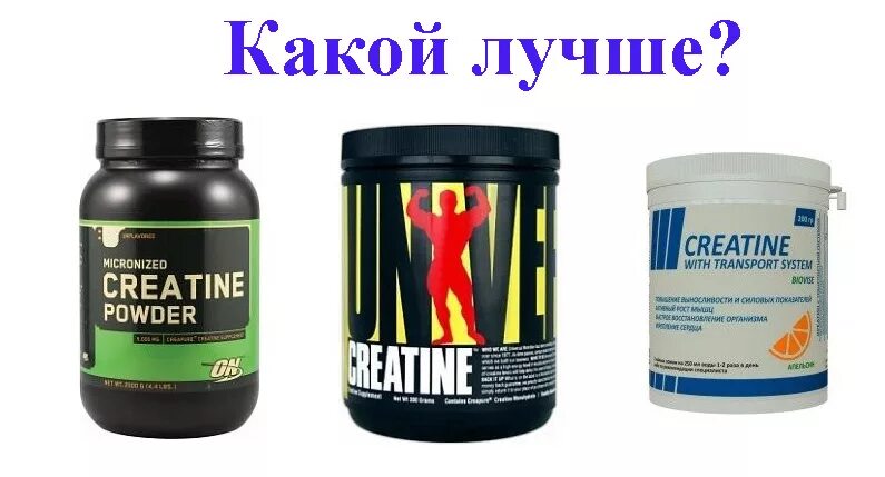 Какой креатин лучше. Какой креатин лучше. Креатин моногидрат olimp sport nutrition. Какой креатин лучше. Креатин.