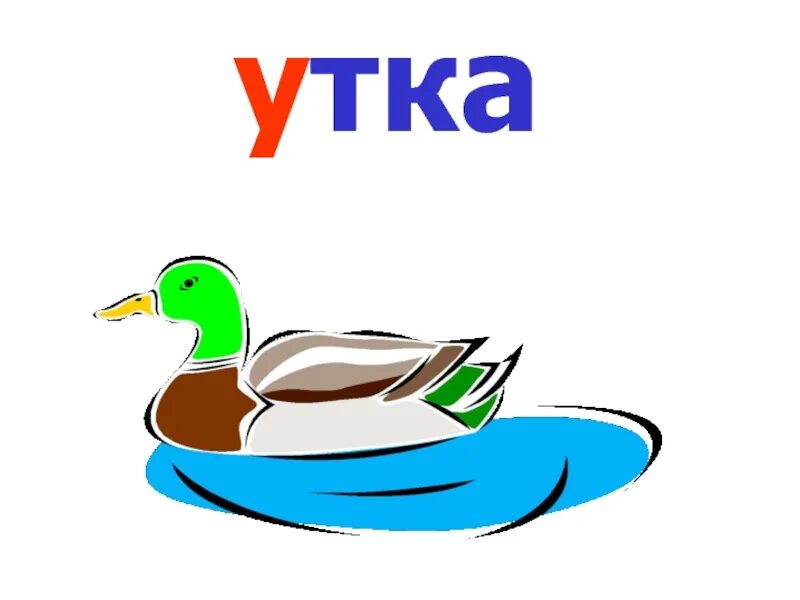 Слово duck. Утка слово. Карточка утка. Буква у утка. Карточка со словом утка.