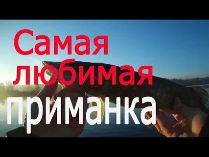 Любимая приманка