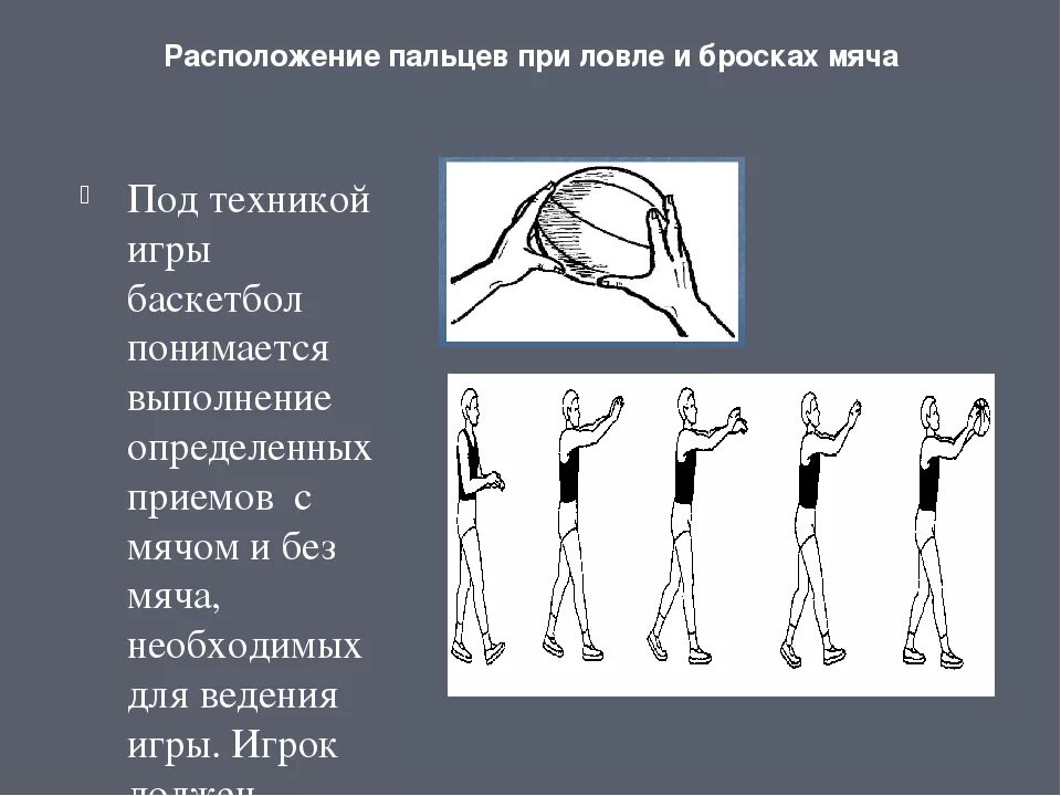 Ключевые методы управления мячом в баскетболе. Способы держания мяча в баскетболе. Упражнения по технике ловли мяча. Владение мячом в баскаетбол. Ловля мяча в баскетболе упражнения.