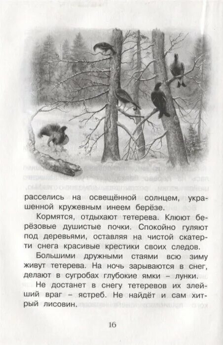 Почему нужно быть наблюдательным сочинение соколов микитов. Год в лесу книга Соколов Микитов. Соколов-Микитов рассказы о природе. Соколов Микитов Родина.