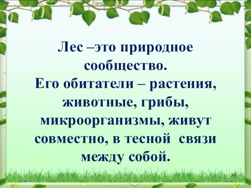 Природное сообщество лес. Рассказ о природном сообществе. Природное сообщество KTC. Рассказ о природном сообществе лес. Почему лес природное сообщество