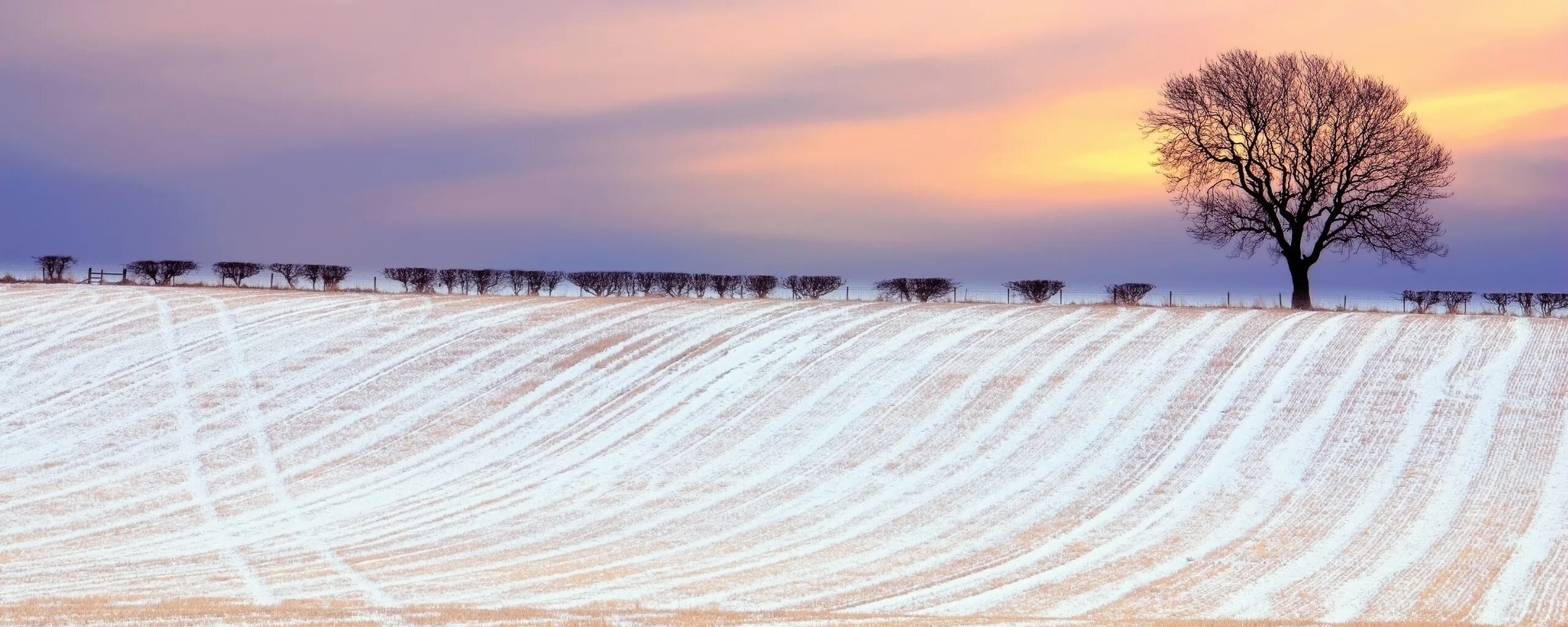 Снег поле. Снегозадержание трактором. Снегозадержание. Снег поле. Зима сельхоз поля.