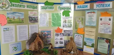 Отчет всероссийский день эколят в доу