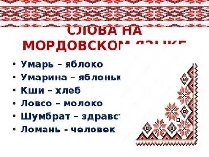 К какой языковой семье относится мордва