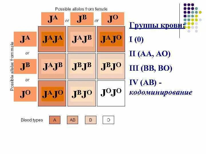 Кодоминирование группы крови. Черепаховая окраска генотип. Закон независимого наследования признаков. 9. Моно- , ди-, полигибридное скрещивание..