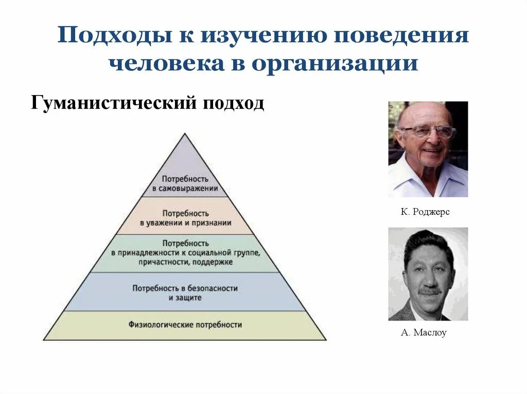 Психология человеческого поведения