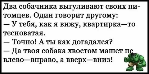 Ан короткая