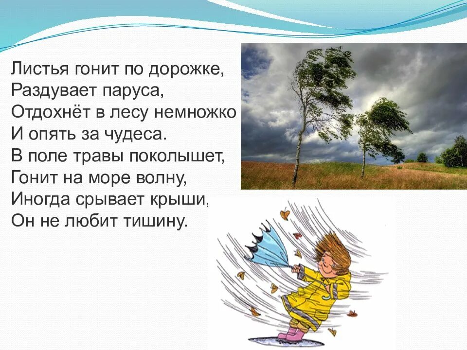 Стихотворение про ветер. Стихи про ветер для детей. Загадки про ветер. Стихи о ветре короткие. Ветер ответ принесет