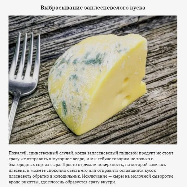 Какой сыр долго хранится. Сыр в холодильнике. сколько можно хранить сыр.