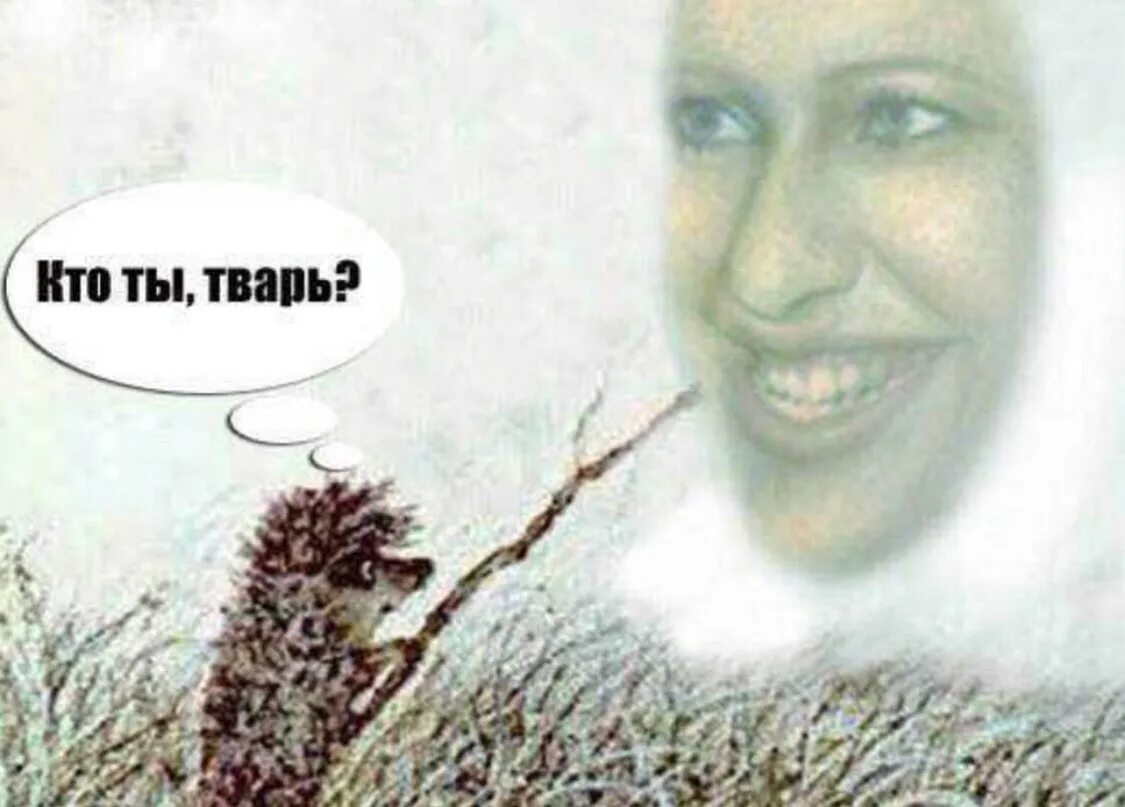 Потому что ты тварь. Бездушная тварь. Ну. Последняя тварь. Шутки про старых дев.