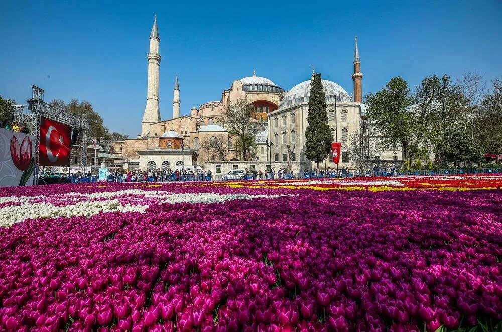 Туры в стамбул в апреле. Стамбул фестиваль тюльпанов Султанахмет. Голубая мечеть в Стамбуле тюльпаны. Весенний фестиваль тюльпанов в Стамбуле.