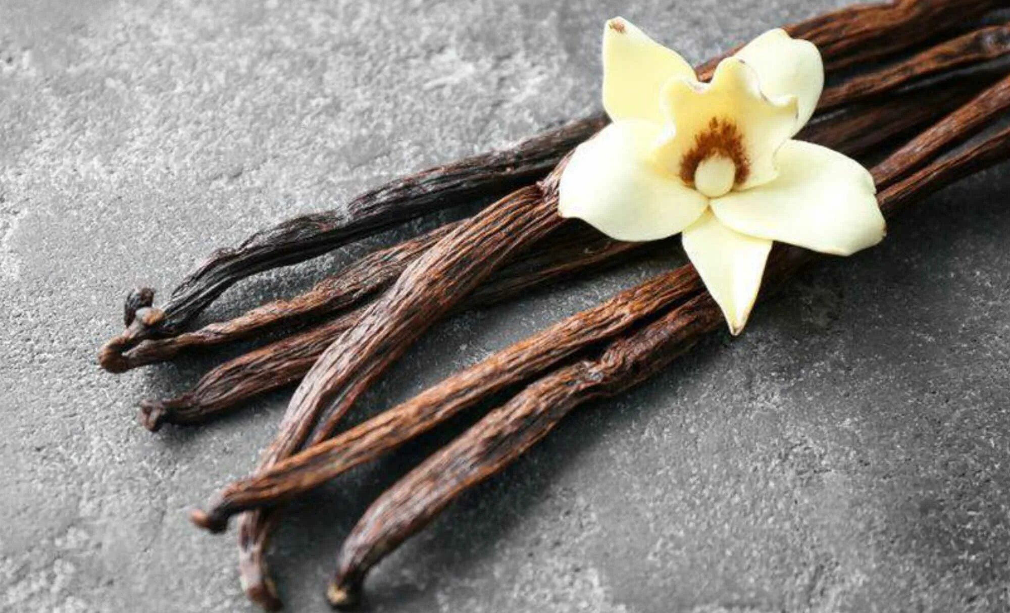 Что значит запах ванили. Бурбонская ваниль. Бурбонская ваниль цветок. Мадагаскарская ваниль. Таитянская ваниль.