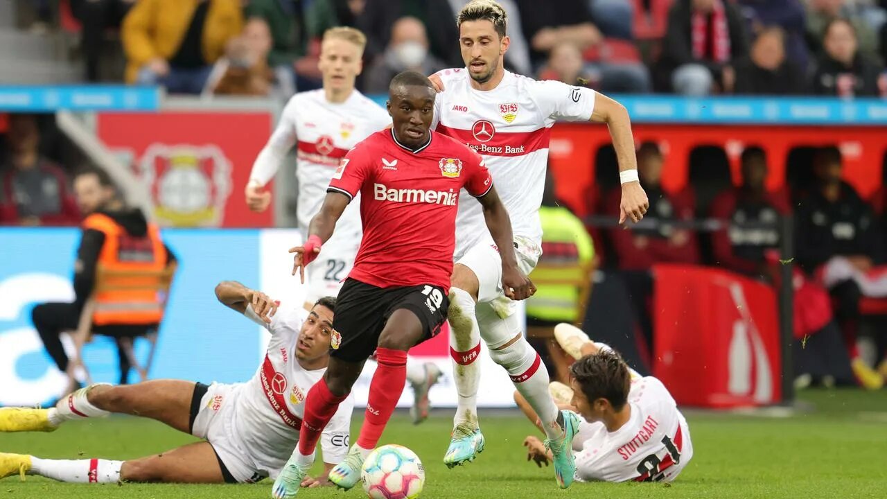 Бельгия байер. Братья байер леверкузен. Штутгарт байер. Штутгарт байер. Байер штутгарт прогноз.