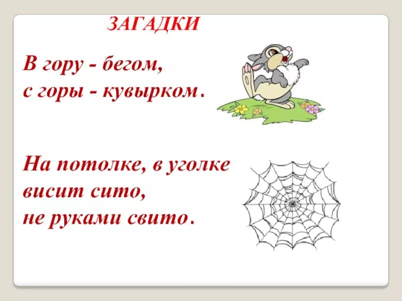 Висит сито не руками свито отгадка. Висит сито. Висит сито. Весит сита не руками свито. Висит сито не руками свито ответ на загадку.
