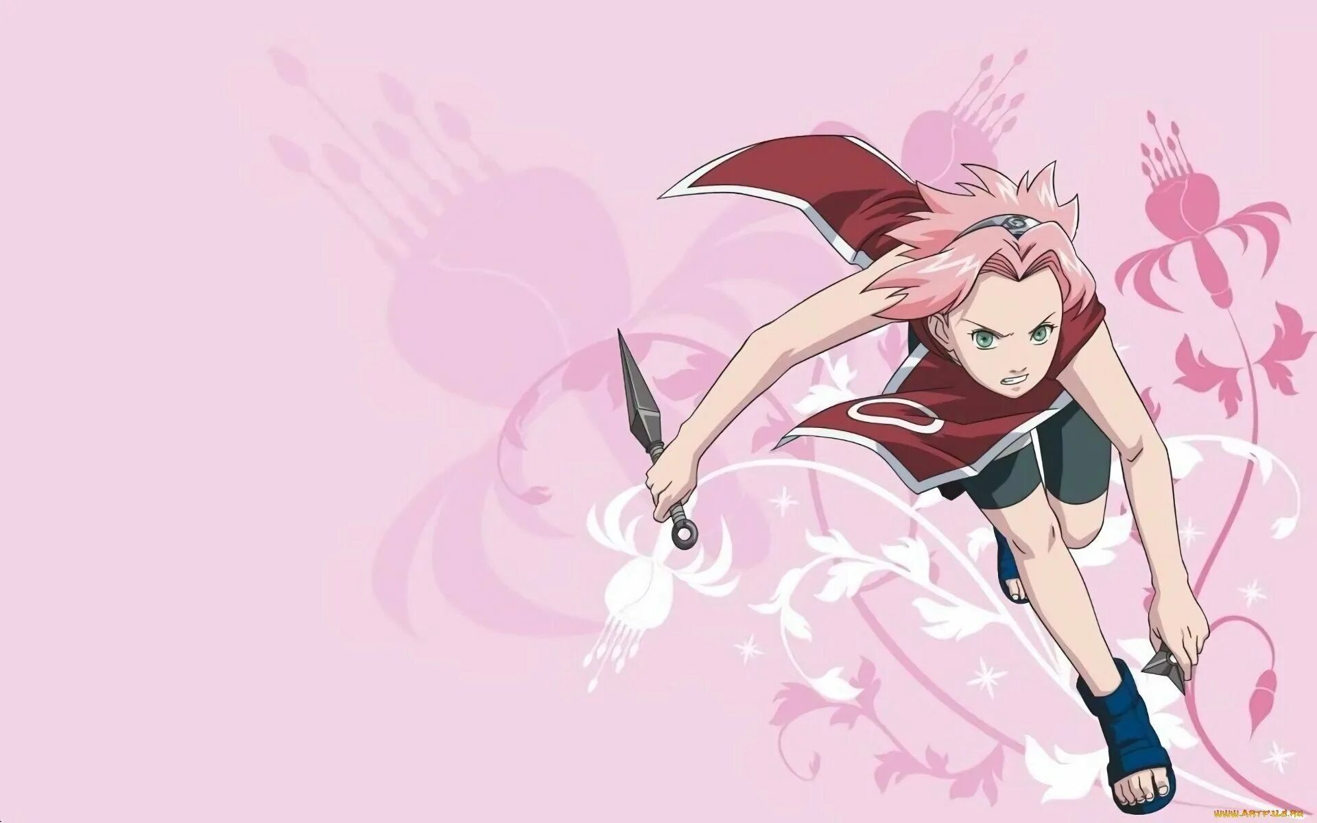 Sakura lin