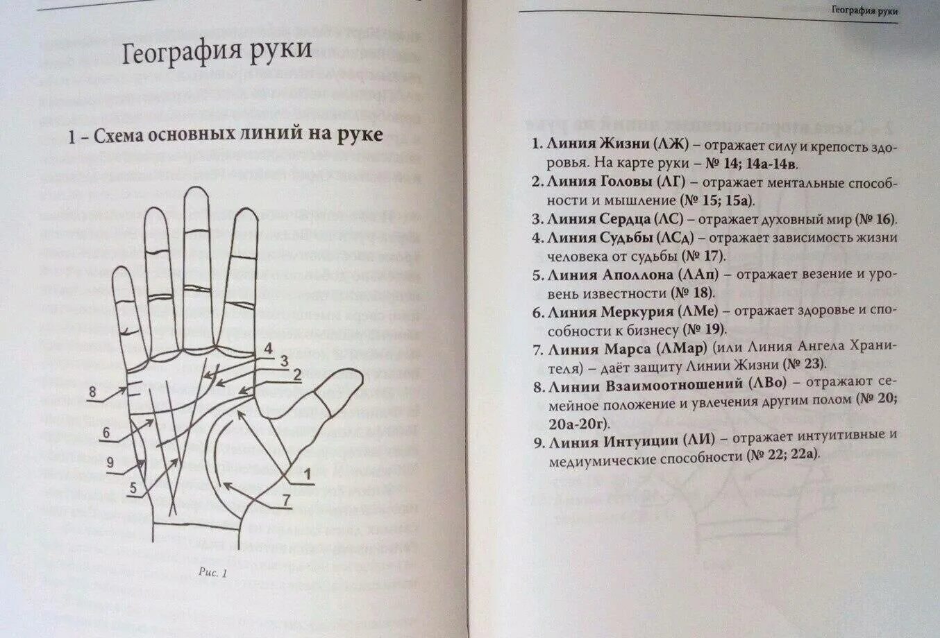 Левая ладонь хиромантия. Ладонь хиромантия. Линии на руке значение. Хиромантия линии на ладони. Чтение по руке.