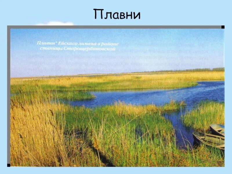 Карта плавней. Плавни Азовского побережья. Плавни это в географии. Водоёмы Краснодарского края лиманы. Плавни схема.