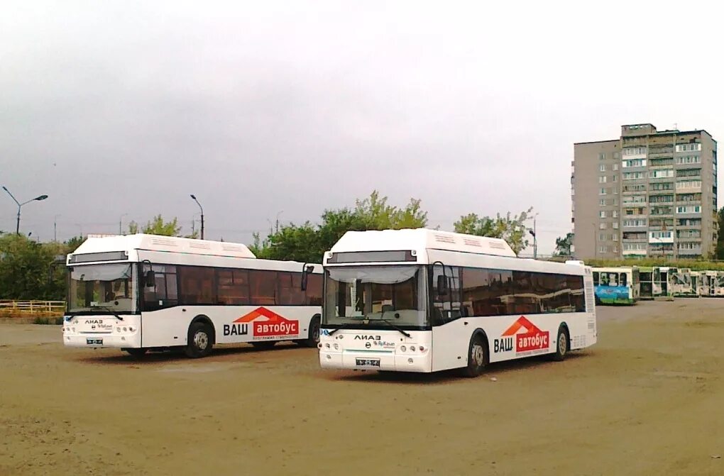 Автобус лиаз новый. Информационные табло череповец. Приложение для отслеживания транспорта. Автобусы череповец. Лиаз новый.