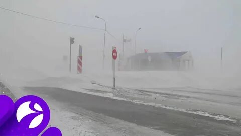 Салехард осадки
