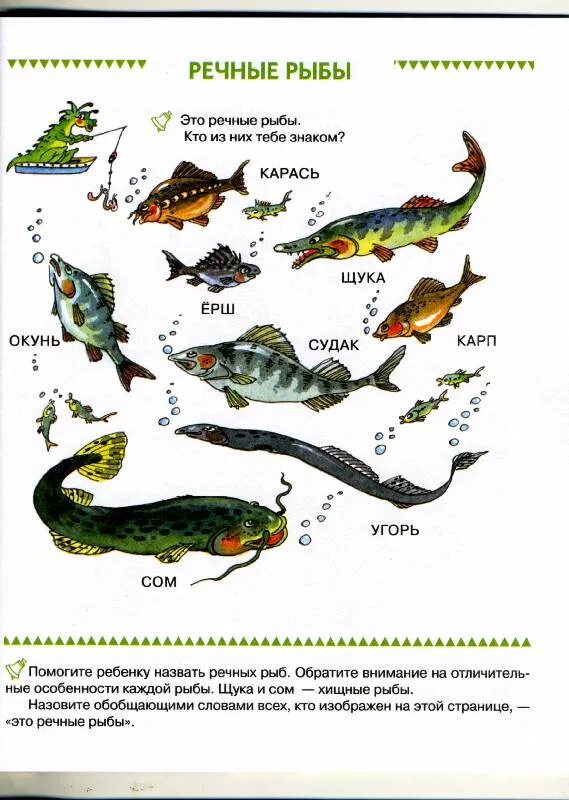 Лексическая тема речные рыбы. Пресноводные рыбы задания для детей. Морские и Пресноводные рыбы задания для дошкольников. Морские рыбки аквариумные задания для дошкольников.