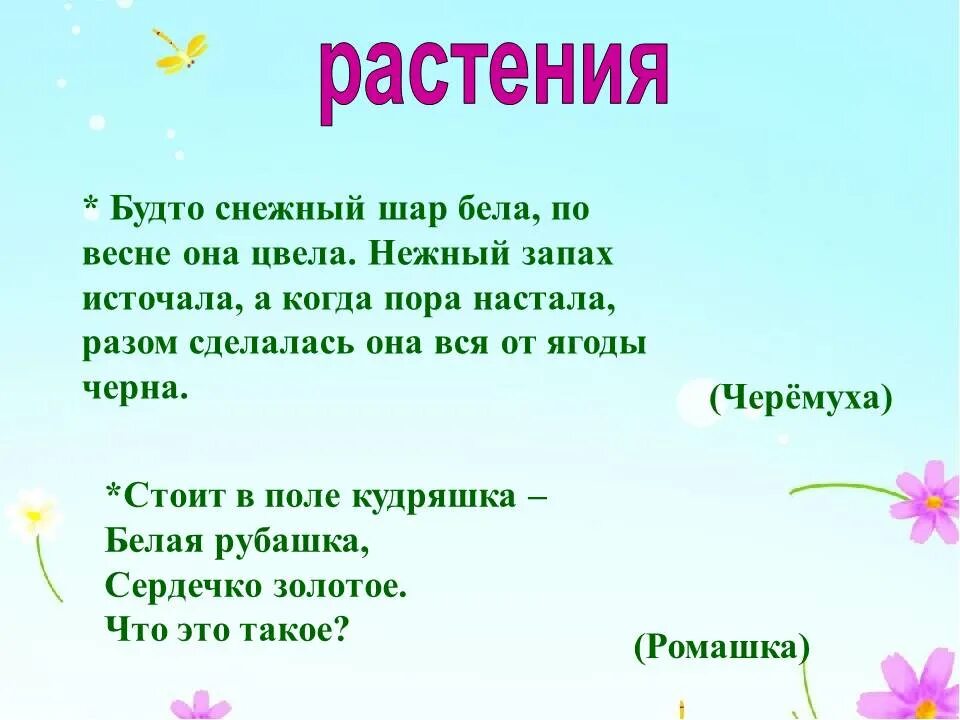 Прямо таки загадка живой природы