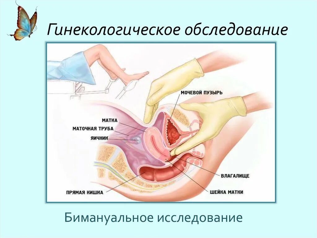 Гинеколог ректально