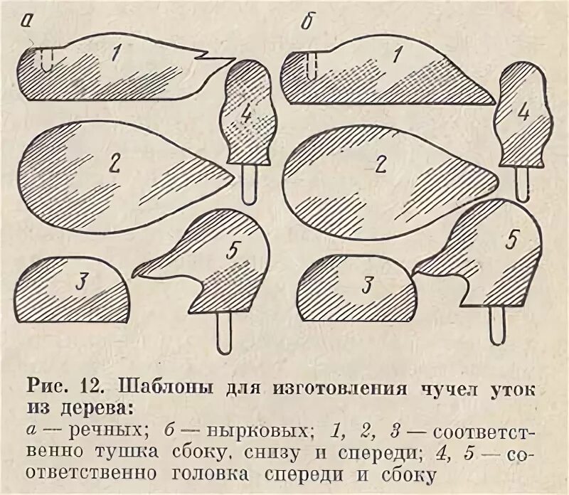 Чертежи чучел уток и гусей. Утка кряква чертеж для чучела. Чертеж утки. Рисование утки. Чертеж утки.