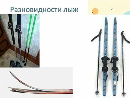 Какие бывают лыжные