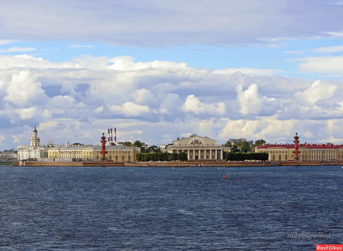 Стрелка Васильевского острова Санкт-Петербург. Васильевская стрелка. Вид на стрелку Васильевского острова с воды. Стрелка Васильевского острова фото. Вода васильевский остров