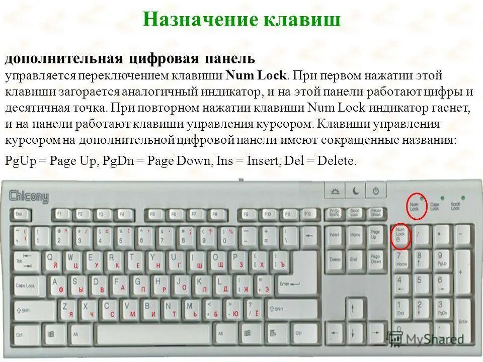 Какой клавишей можно удалить символ в тексте. Кнопки f1-f12 на клавиатуре. Назначение кнопок на клавиатуре. Цифры кнопок на клавиатуре. Расположение кнопок на клавиатуре компьютера.