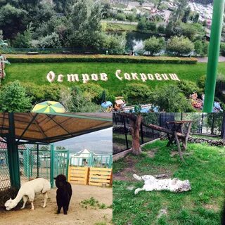 Роев ручей красноярск режим