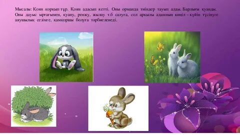 Саунада жыныстық қатынасқа түскен ерлі-зайыптылар