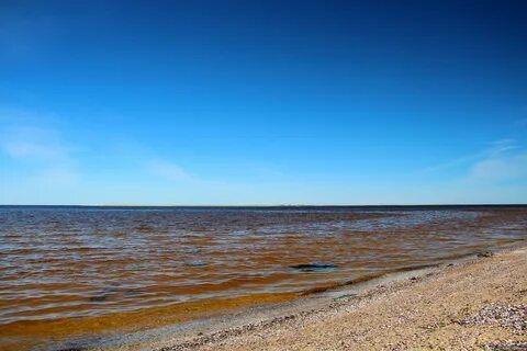 Студеное белое море
