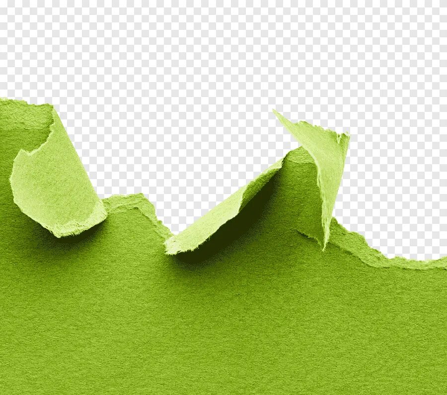 Порванная бумага. Порванная бумага зеленая. Рваный край бумаги. Рваный лист.