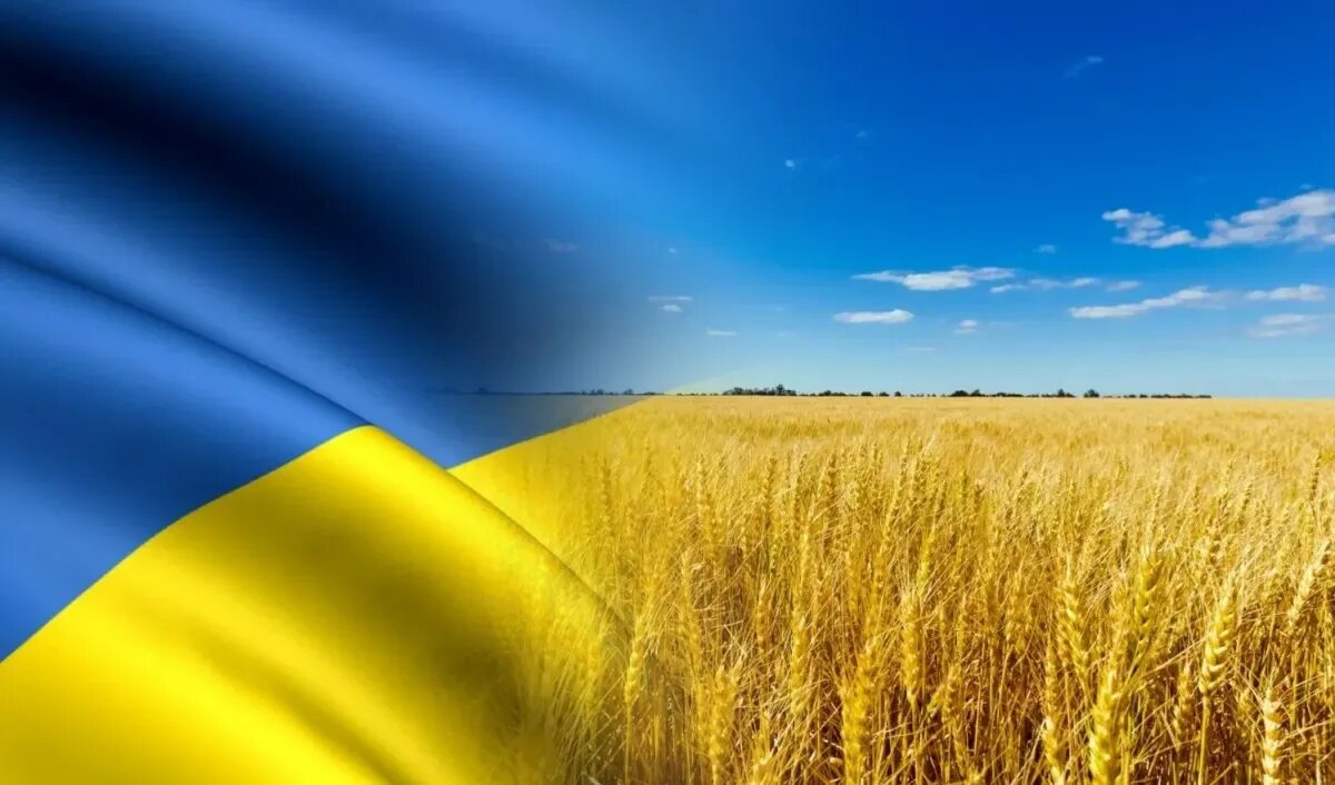 День Незалежности Украины. Флаг Украины. Украина фон. Красивый флаг Украины.