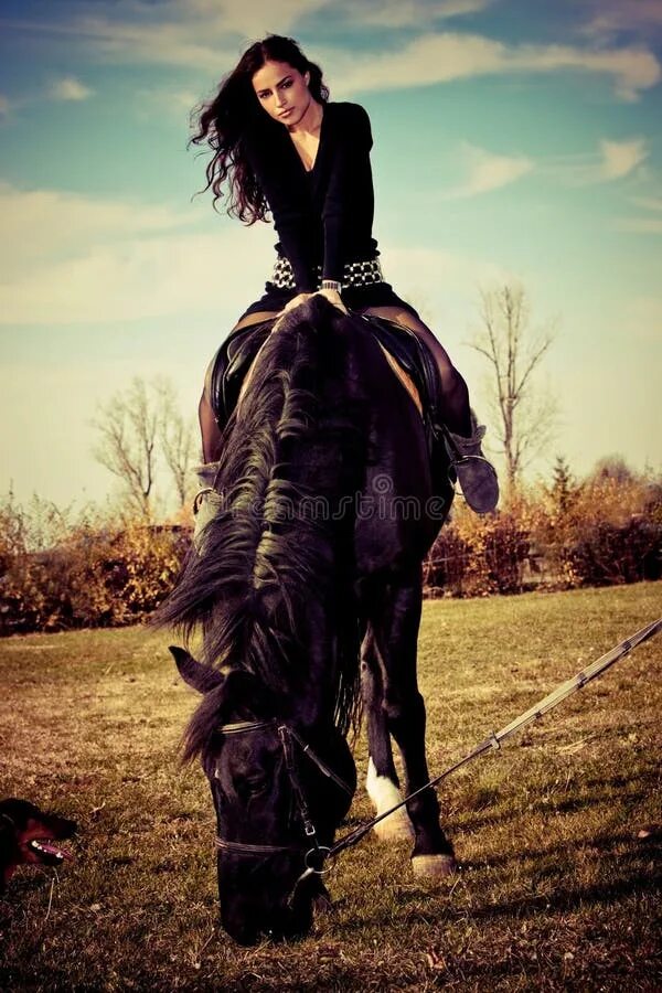 Брюнетка скачет. Брюнетка верхом на лошади. Девушка с длинными волосами на коне. Брюнетка на лошади со спины. Шатенка верхом на лошади.