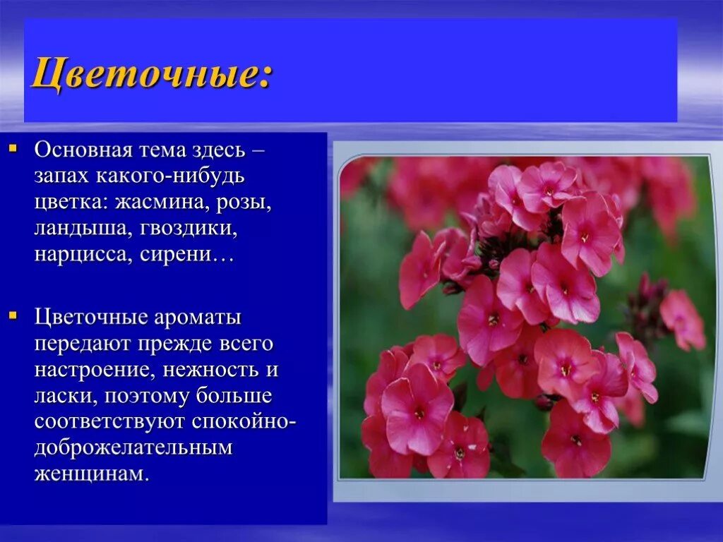 Запах цветов описать. Почему пахнут цветы. Почему пахнут цветы проект. Какими запаха и пахнут цветы. Объясните почему цветки ландыша