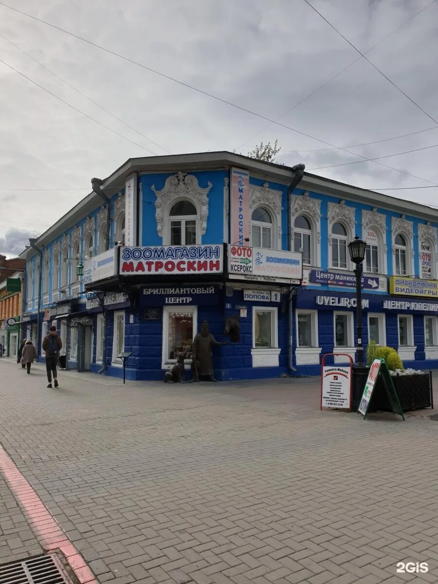 зоомагазин матроскин. магазин матроскин екатеринбург. магазин матроскин екатеринбург. матроскин зоомагазин интернет магазин екатеринбург. зоомагазин матроскин возле цирка.