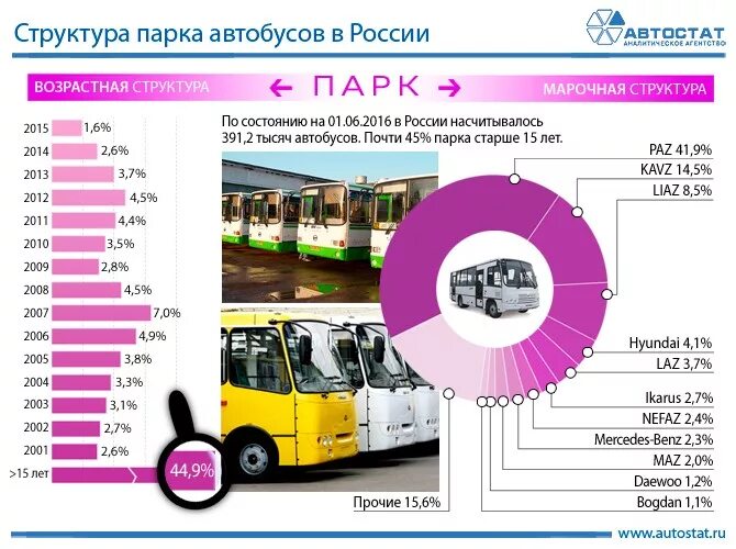 Какой автобус в россии. Структура парка автомобилей в России. Структура парка грузовых автомобилей в России. Возрастная структура парка автобусов. Производители автобусов.