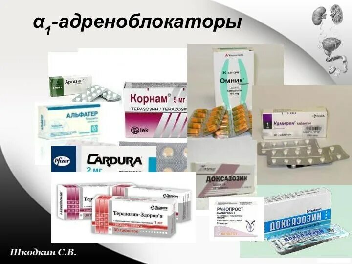 Адреноблокаторы при простатите список препаратов. Селективные альфа 1 адреноблокаторы препараты. в1 адреноблокаторы препараты. блокаторы альфа-адренорецепторов препараты. блокаторы альфа 1 адренорецепторов препараты.