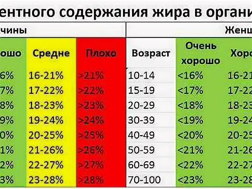 Содержание жира в организме. Процентное содержание жира в организме. Процент жира в организме. Процент жира в человеке.